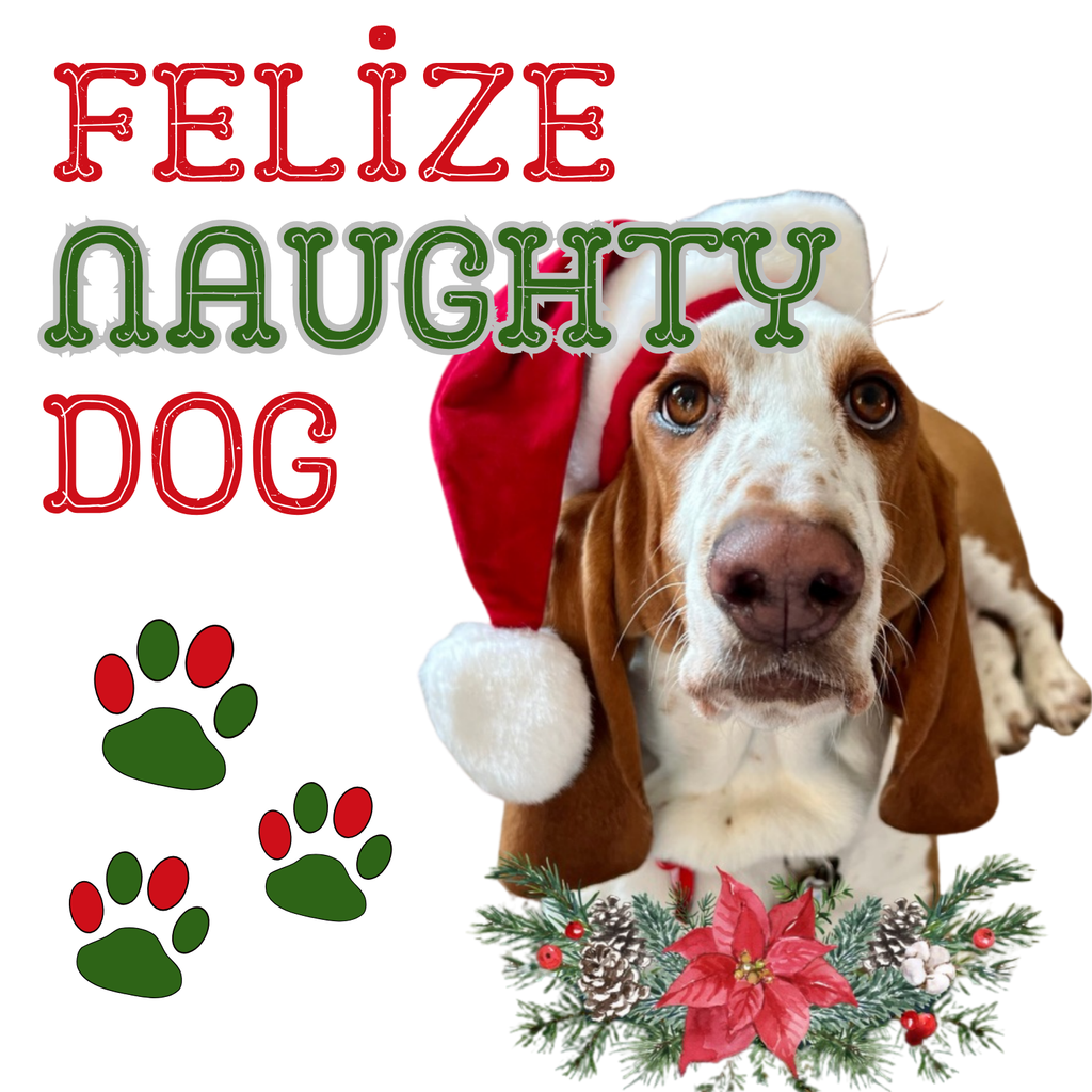 Felize Naughty Dog Basset Hound Magnet
