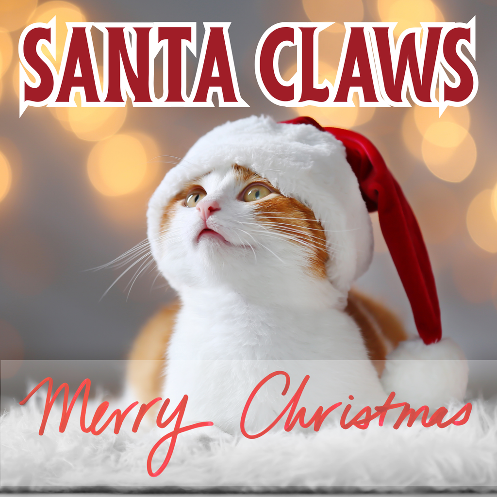 Santa Claws Cat Magnet
