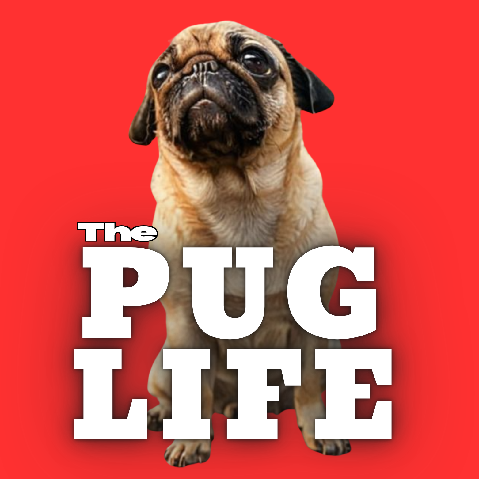 Pug Life Magnet