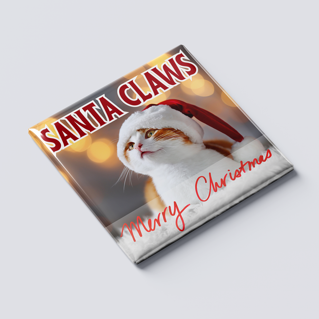 Santa Claws Cat Magnet
